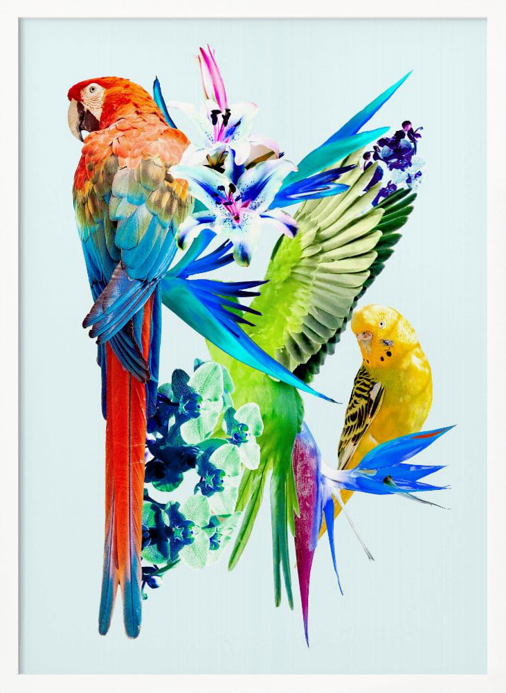 Birds of Paradise I Poster